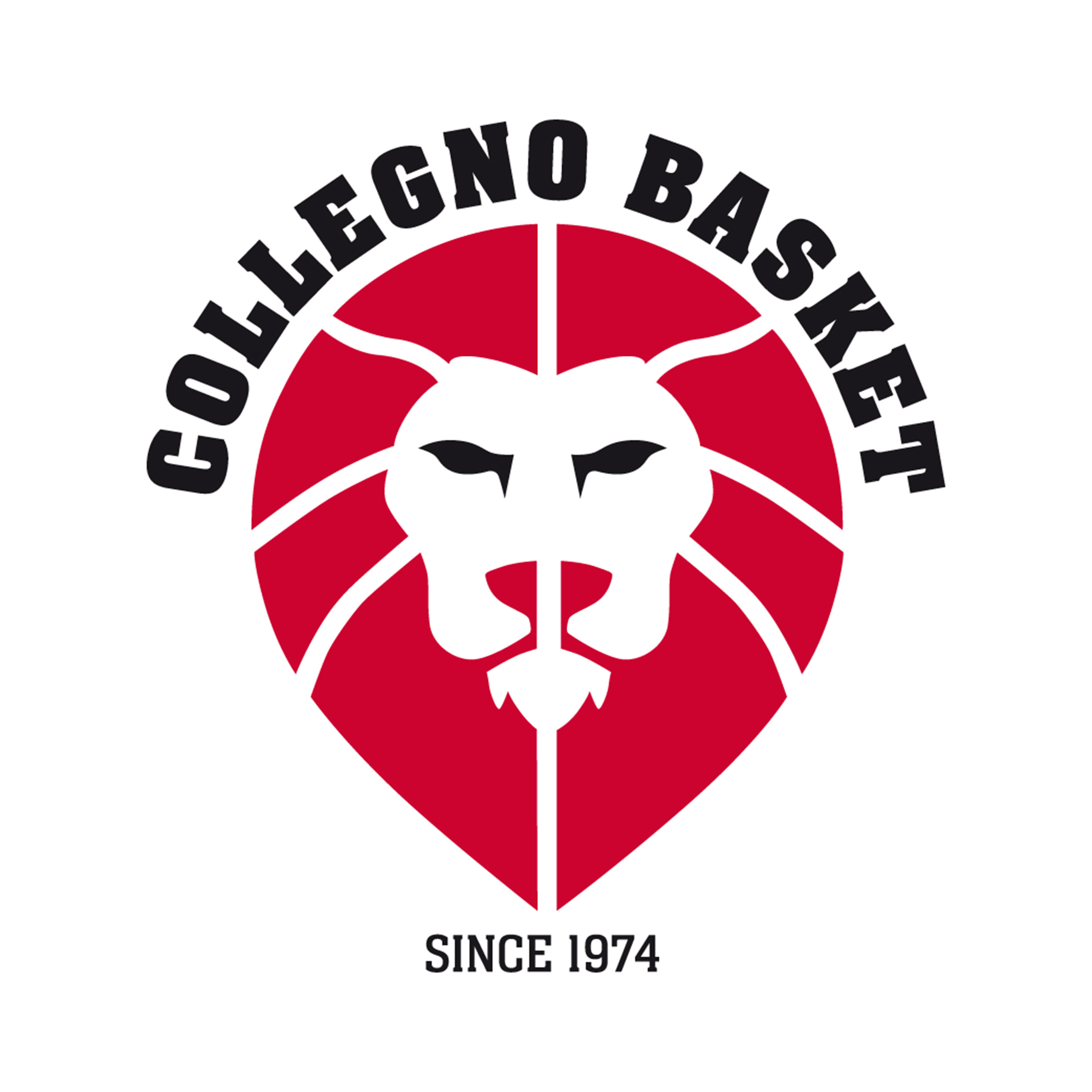 Collegno Basket S.S.D.R.L.